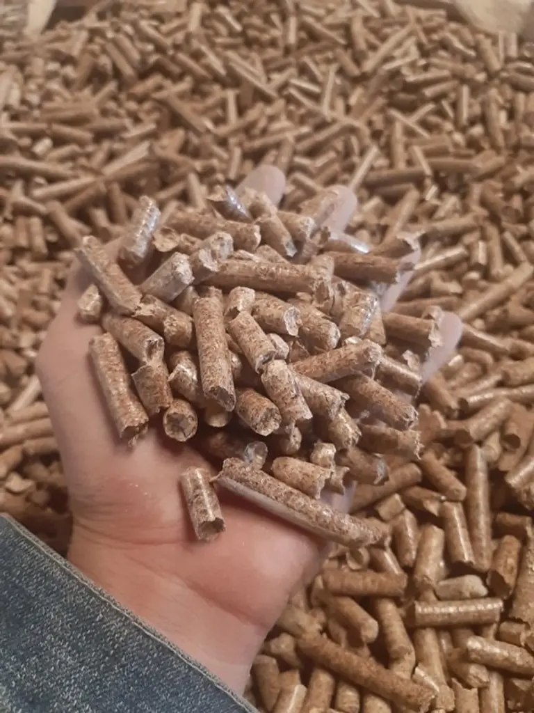  * 친환경 에너지 원으로 각광받고 있는 목재 펠릿. 지난해 목재펠릿을 사용하는 보일러 보급대수는 2만8천 대였으나 올 연말 1만9천대로 증가할 것으로 예상된다. 