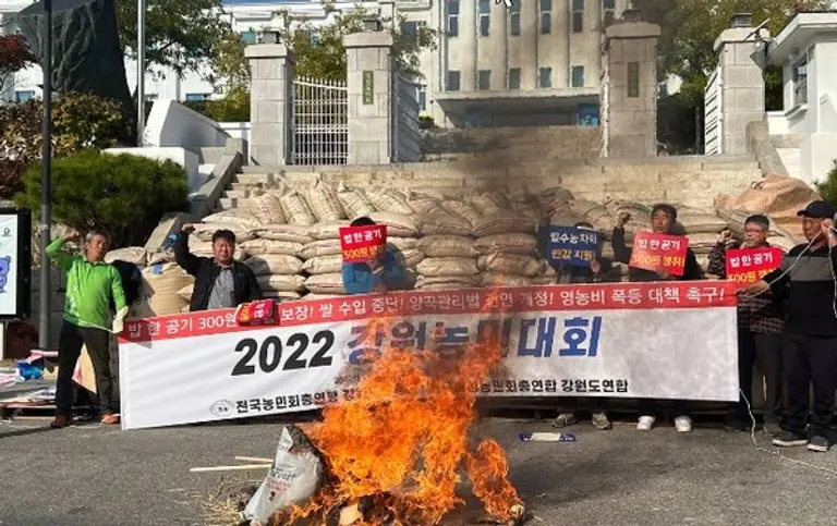 전국농민회총연맹 강원도연맹, 전국여성농민회총연합 강원도연합 주최로 강원도청 앞에서 지난달 27일 열린 강원농민대회에서 참가자들이 미국산 칼로스 쌀을 불태우며 쌀 수입 중단을 촉구했다.