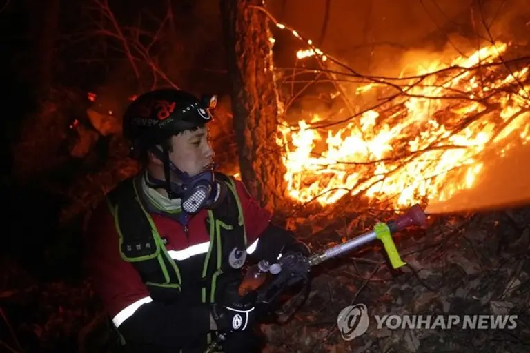  * 지난 3월 발생한 울진 산물 진화 현장. 