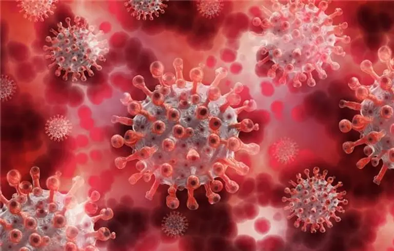 코로나 바이러스. 사진=픽사베이