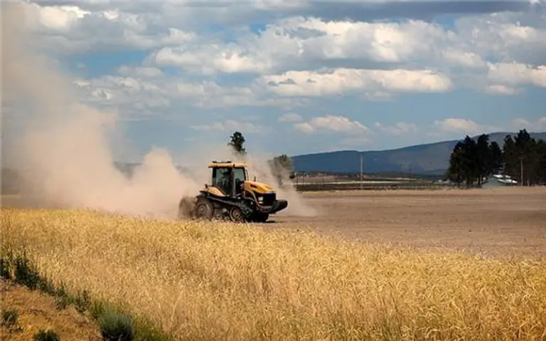 캘리포니아 농장. 사진=픽사베이