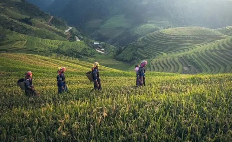 디지털 트윈이 식량 시스템 위기를 극복할 수 있다는 지적이다. 사진=픽사베이
