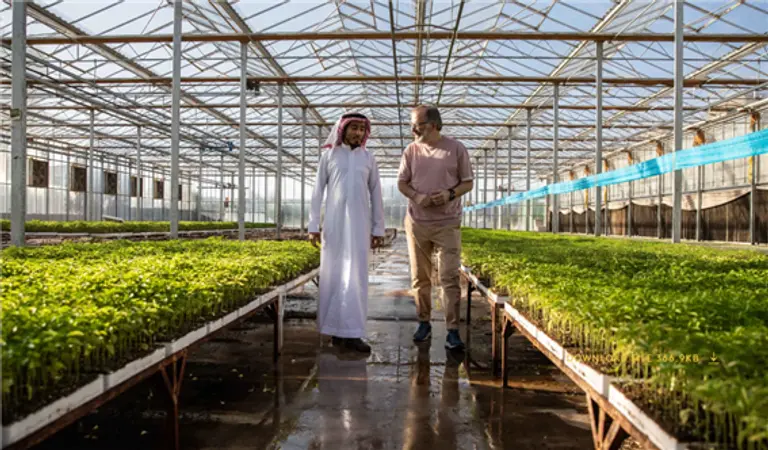 * 네옴에서의 수자원 순환 경제는 스마트시티 성패의 핵심이다. 사진=네옴