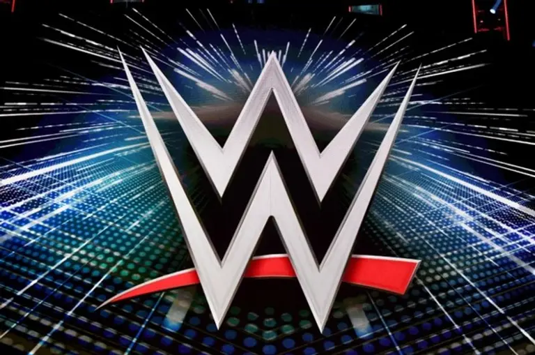 WWE가 UFC에 매각된다. 출처=게티이미지