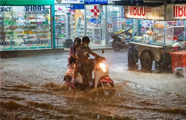  * 사진=픽사베이