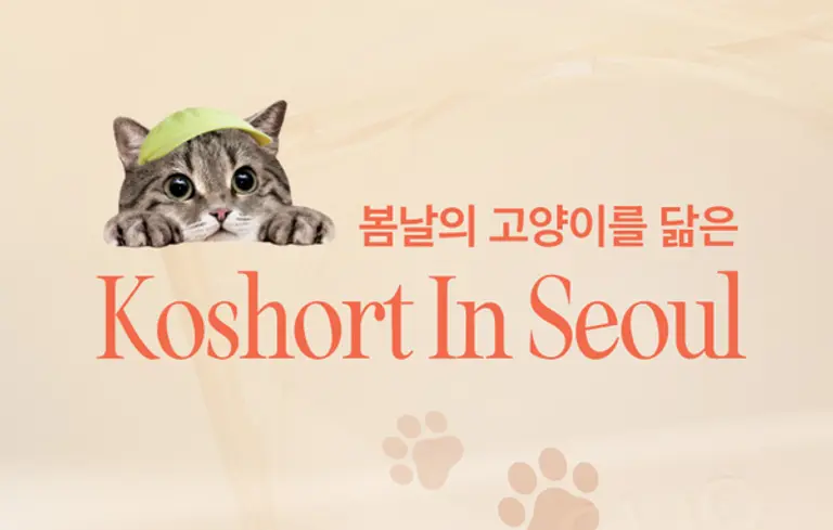 클리오 홈페이지 캡처