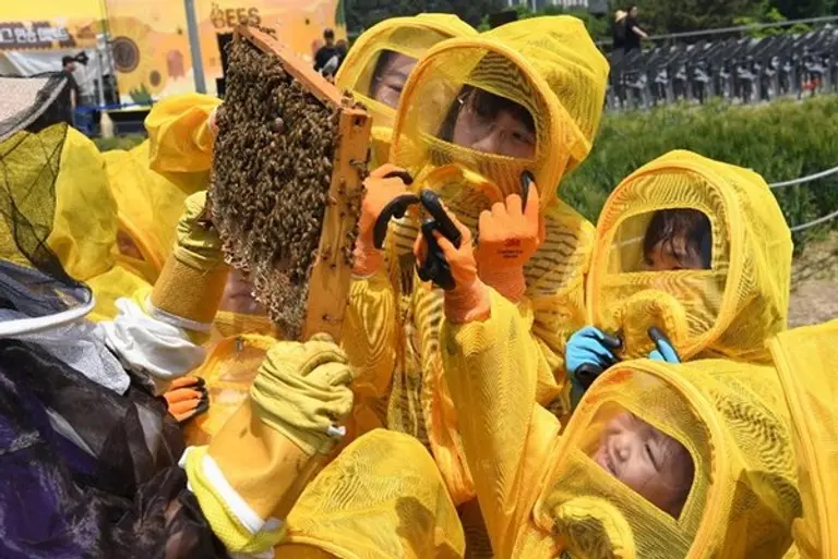 포스코이앤씨가 어린이와 함께하는 꿀벌 축제 