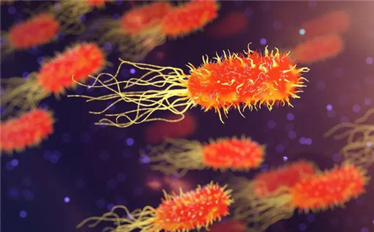  * 사진=픽사베이