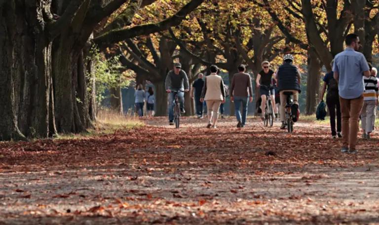  * 전 세계에서 자연재생을 위한 법 제정이 필요하다는 지적이다. 사진=픽사베이