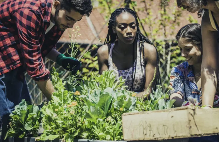  * 사진=베조스 어스 펀드