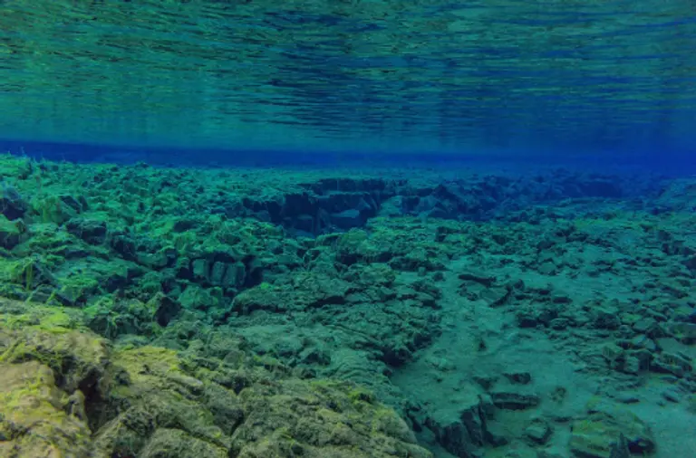  * 사진=픽사베이