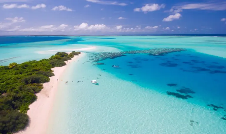  * 사진=픽사베이