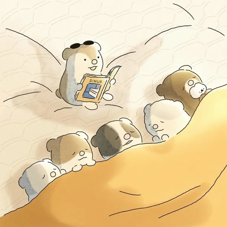 지누스 인스타그램