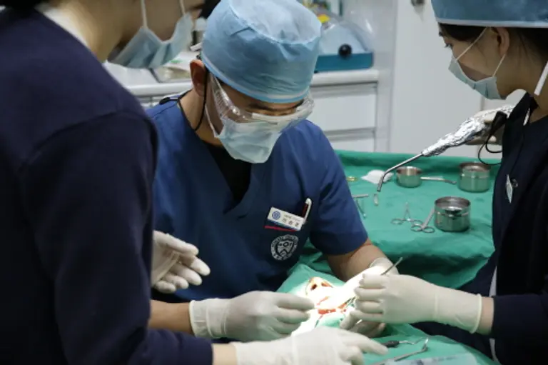 이승준 논산 연세퍼스트치과의원 대표원장