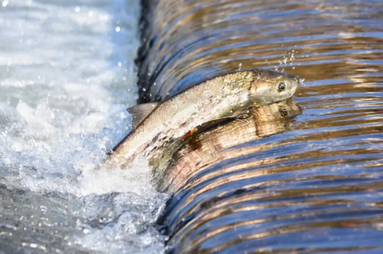 * 사진=픽사베이