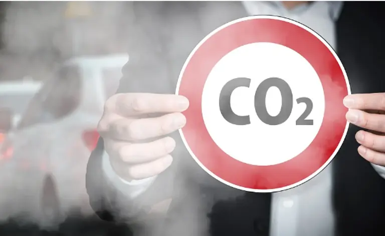  * 사진=픽사베이