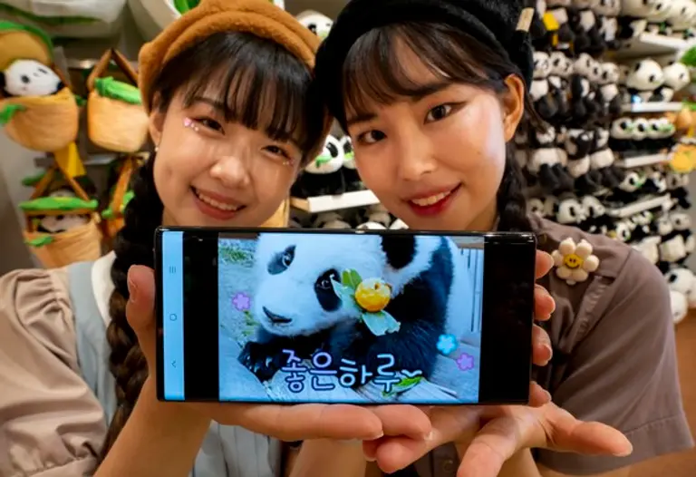 아기 판다 푸바오의 카카오톡 이모티콘 2종이 인기 순위에 나란히 1‧2위를 기록했다 [사진=에버랜드]