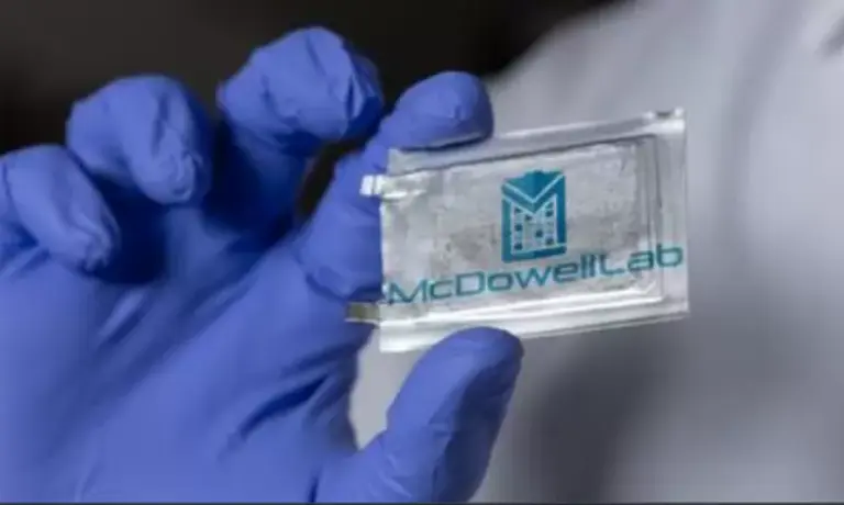  * 사진=미 국립과학재단