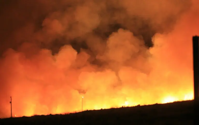  * 사진=픽사베이