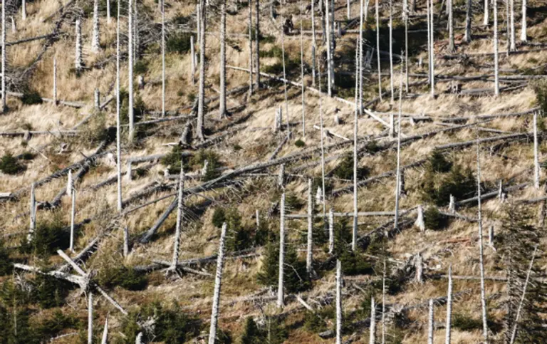  * 사진=픽사베이