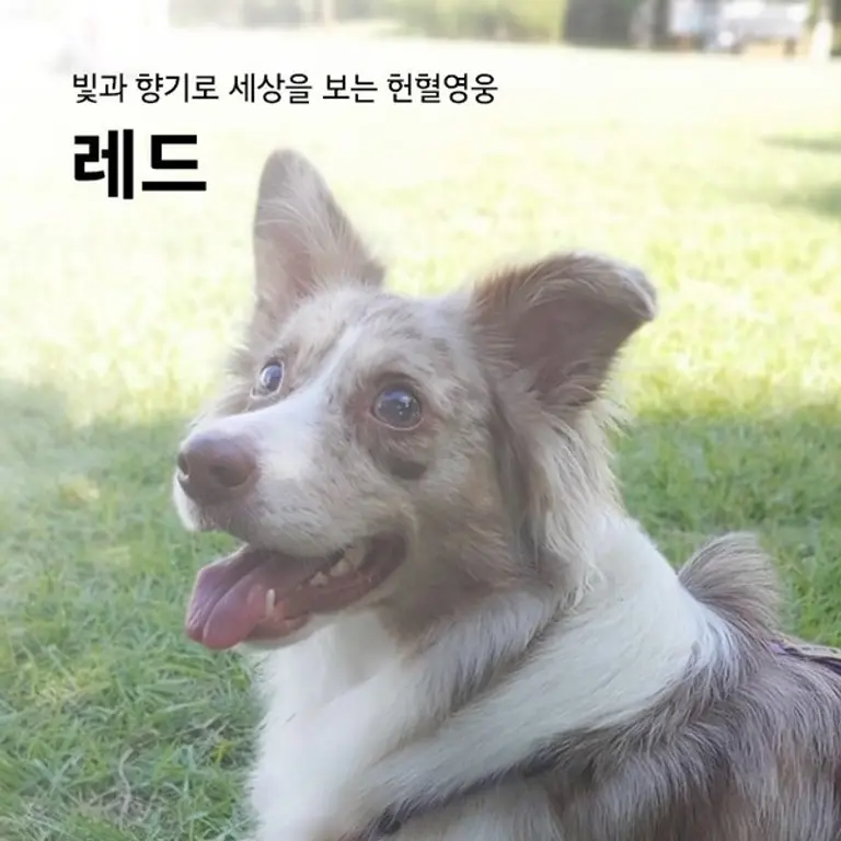 현대차 공식 인스타그램 캡처