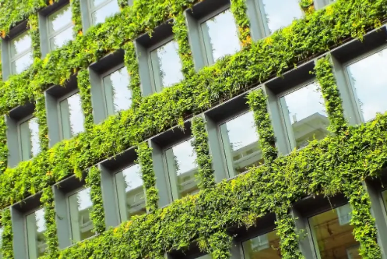  * 사진=픽사베이