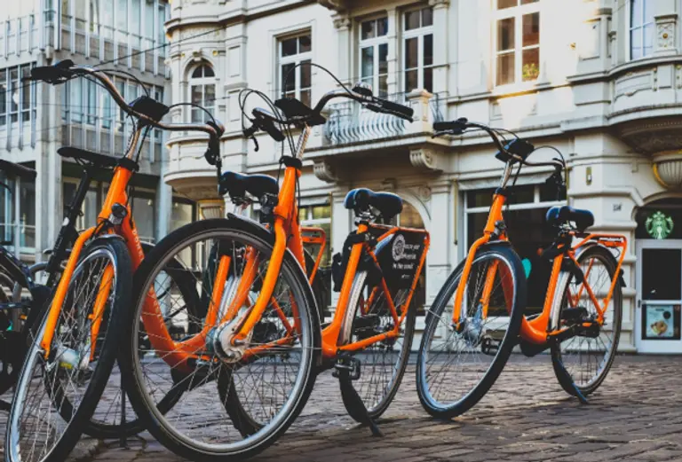  * 사진=픽사베이