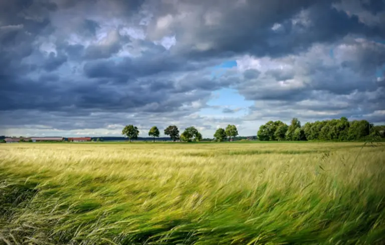  * 사진=픽사베이