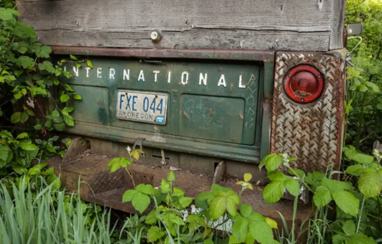  * 사진=픽사베이