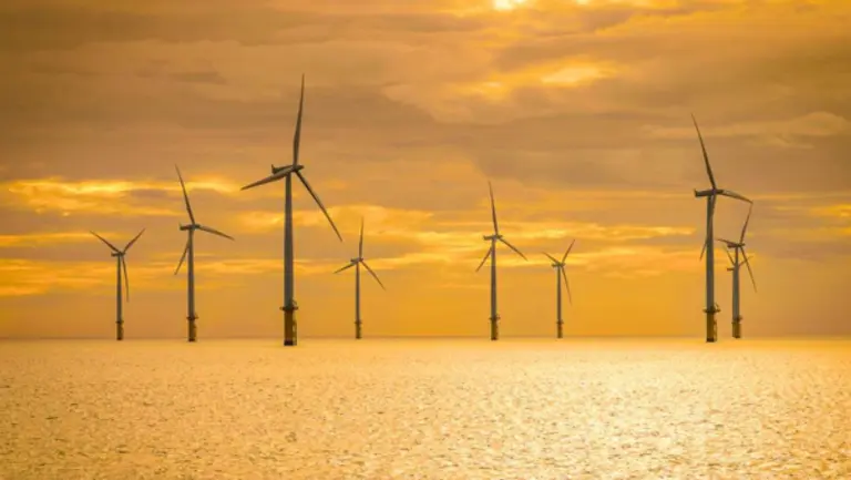  * 사진=더메이어EU via 디파짓포토