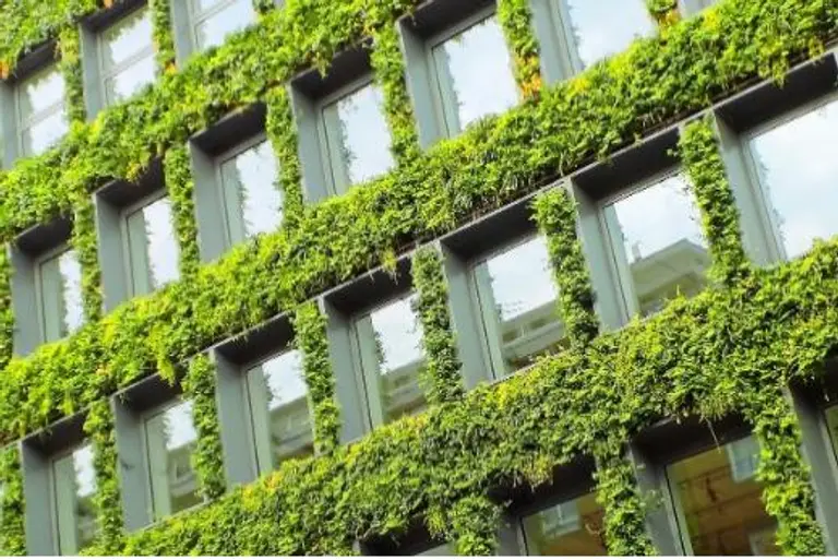 도시 열섬현상을 완화하는 식물 식재 벽체. 사진=픽사베이