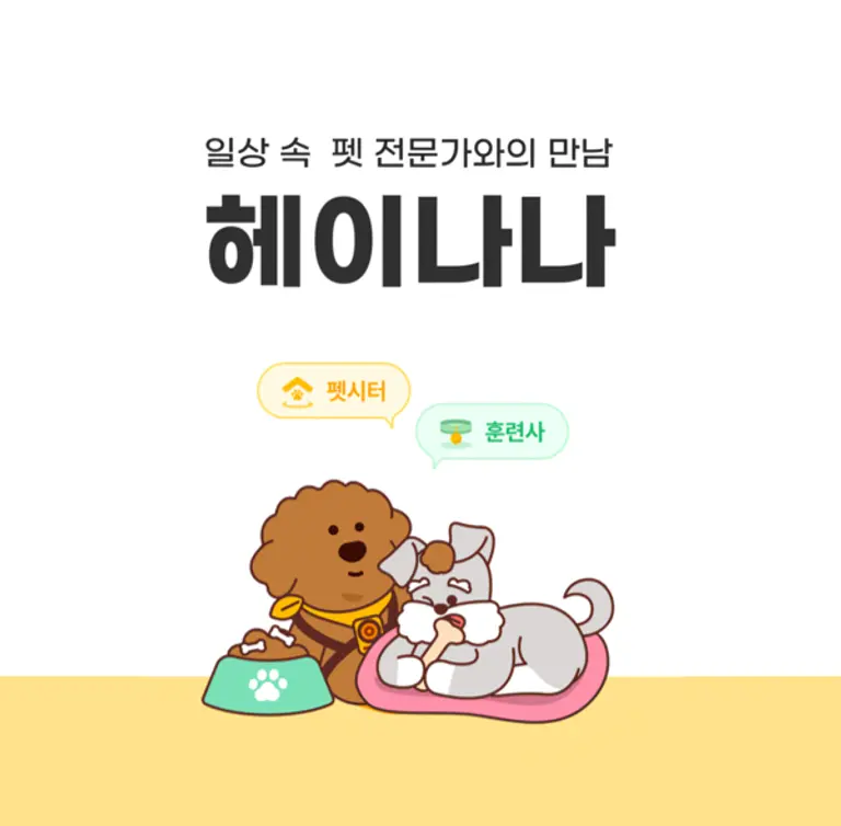롯데정보통신 헤이나나