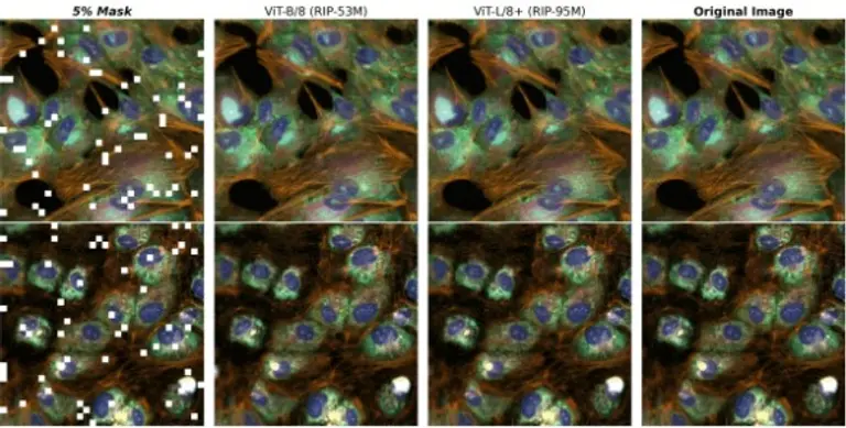 엔비디아 바이오네모를 이용한 페놈-베타 모델