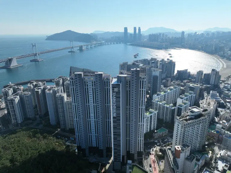 테넌바움 조감도