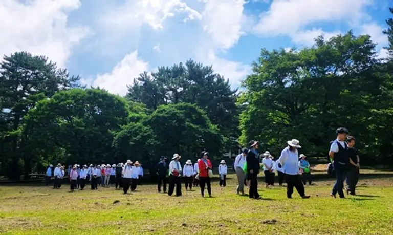 해인사 명상프로그램에 참여한 사람들이 걷기 명상을 하고 있다. (사진제공. 지음 메디테이션)