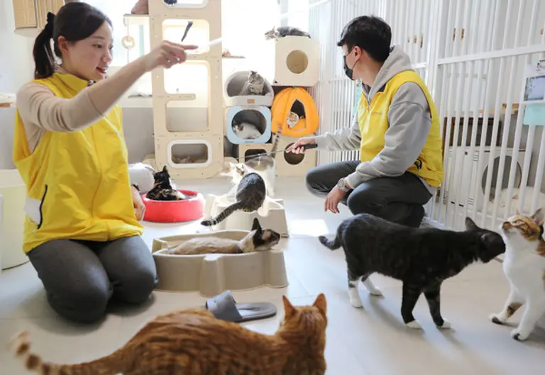 HDC현대산업개발 본부별 릴레이 첫 봉사로 용산구 동물보호소를 방문해 시설청소 봉사와 유기 동물을 위해 사용될 사료를 기부했다. (사진제공. HDC현대산업개발)