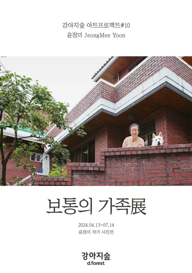 강아지숲 아트프로젝트 ‘보통의 가족展’