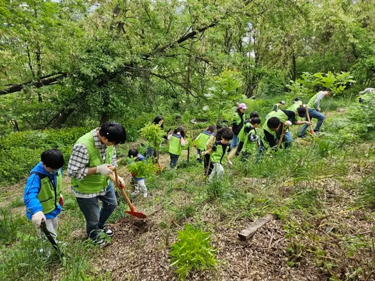 현대엔지니어링 임직원과 가족들이 서울 상암동 노을공원에서 생태숲 가꾸기 봉사활동을 진행하고 있다.