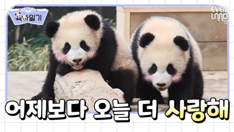 에버랜드 공식 유튜브 위드에버랜드에서 연재중인 