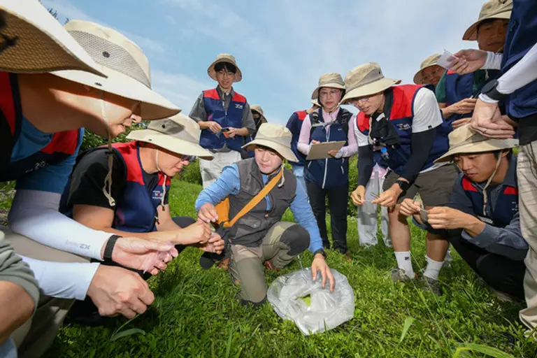 현대모비스 임직원들이 22일 충북 진천 미호강 일대에서 ‘2024년 생물대탐사’ 활동을 진행했다.