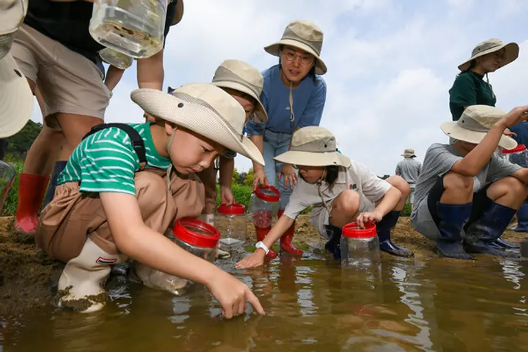 현대모비스 임직원과 가족, 지역주민들이 충북 진천군 초평면 미르숲 입구에서 미호종개를 방류하는 모습. 