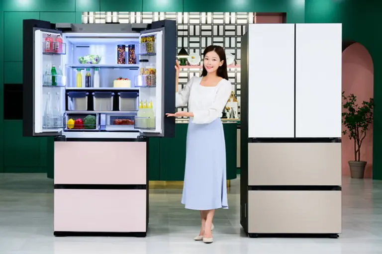 삼성전자 모델이 