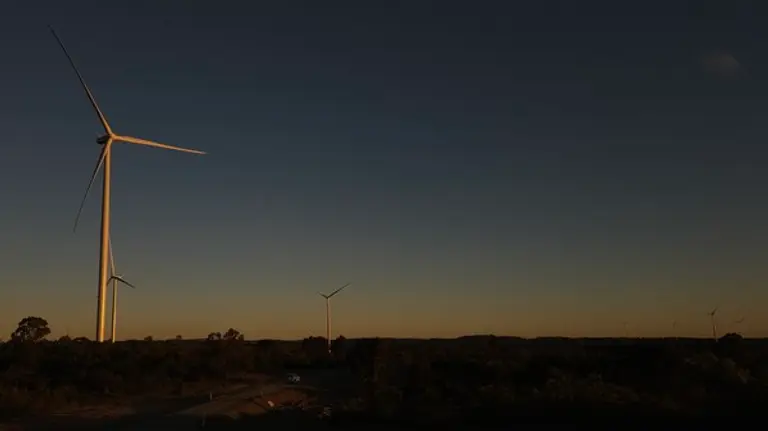맥킨타이어 풍력발전소 전경