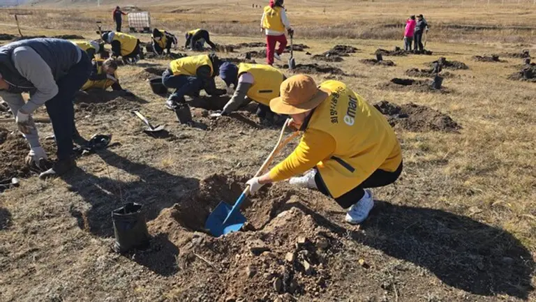 이마트 임직원들이 몽골 테를지 국립공원에서 나무를 심고 있다. (사진제공=이마트)