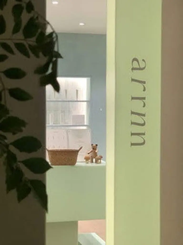 아프리콧스튜디오의 스킨웨어 브랜드 아른