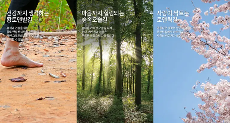 덕계역 한신더휴 포레스트에 총 1km가 넘는 구간에 8개의 특화된 테마 산책로가 조성된다. (사진제공=한신공영)