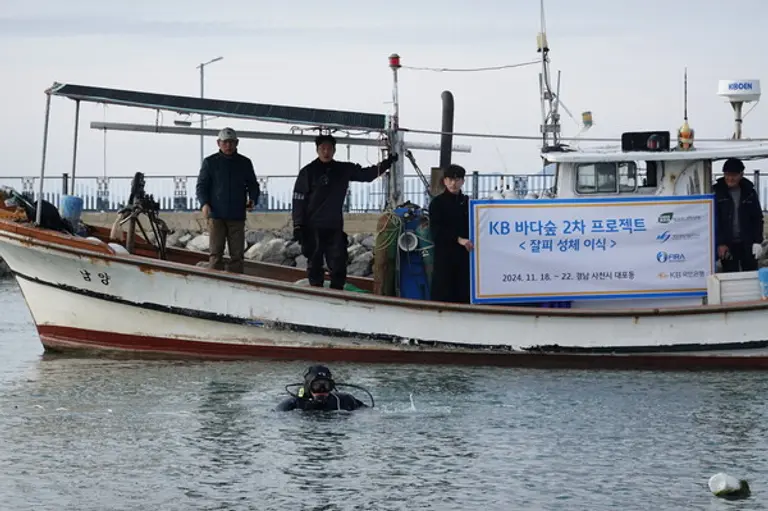 바다숲 전문 잠수 기술자들이 지난 18일부터 22일까지 경남 사천시 대포동 앞바다에 잘피 성체를 이식했다. [출처: KB국민은행]