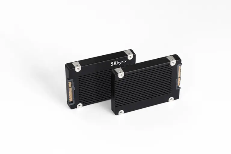 SK하이닉스가 개발한 AI 데이터센터용 고용량 SSD ‘PS1012 U.2’. (제공 SK하이닉스)