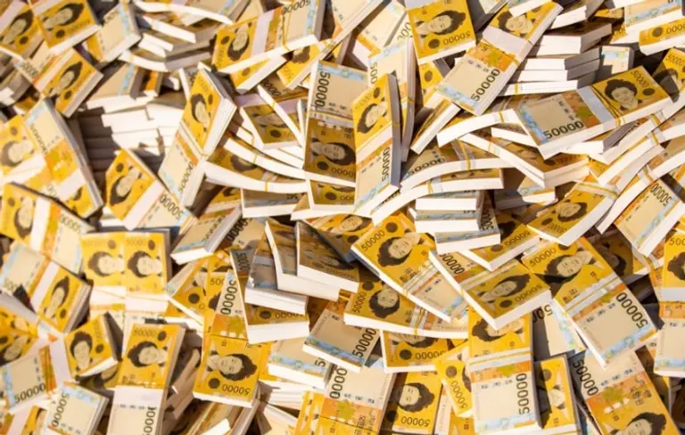 5만원권 돈다발