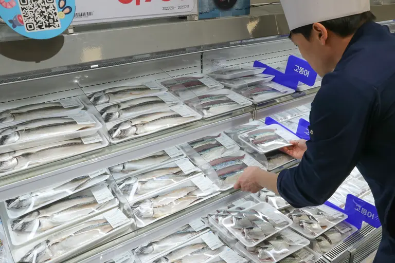 이마트 매장 수산코너에 진열된 고등어 상품 모습. 이마트 제공